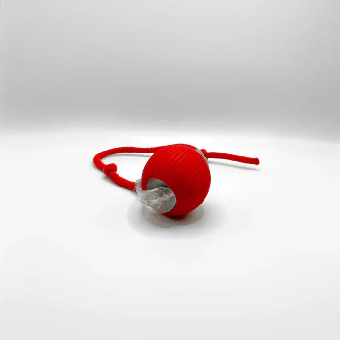 Speedball