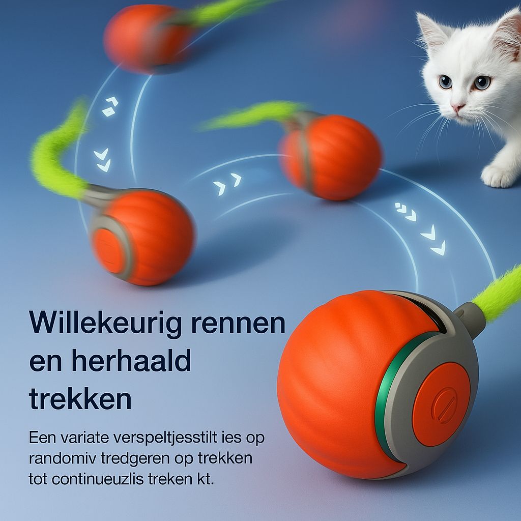 Interactive Cat Ball