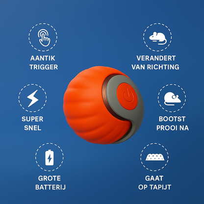 Interactive Cat Ball